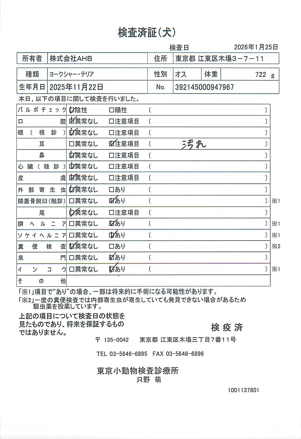 ヨークシャー・テリア