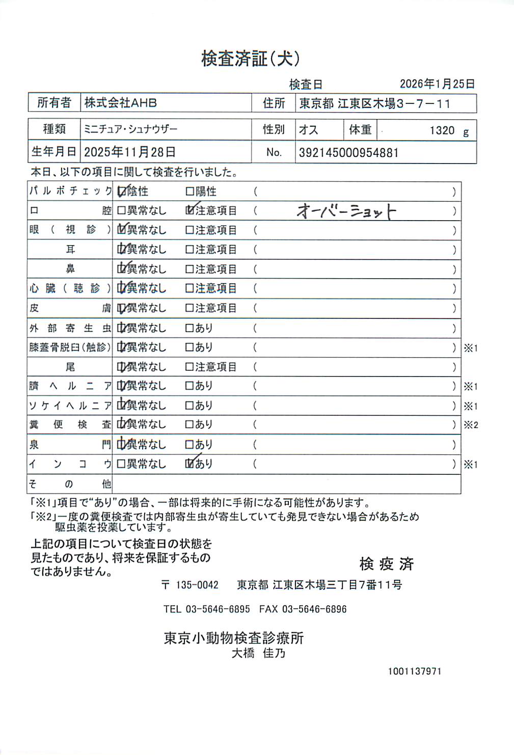 ミニチュア・シュナウザー