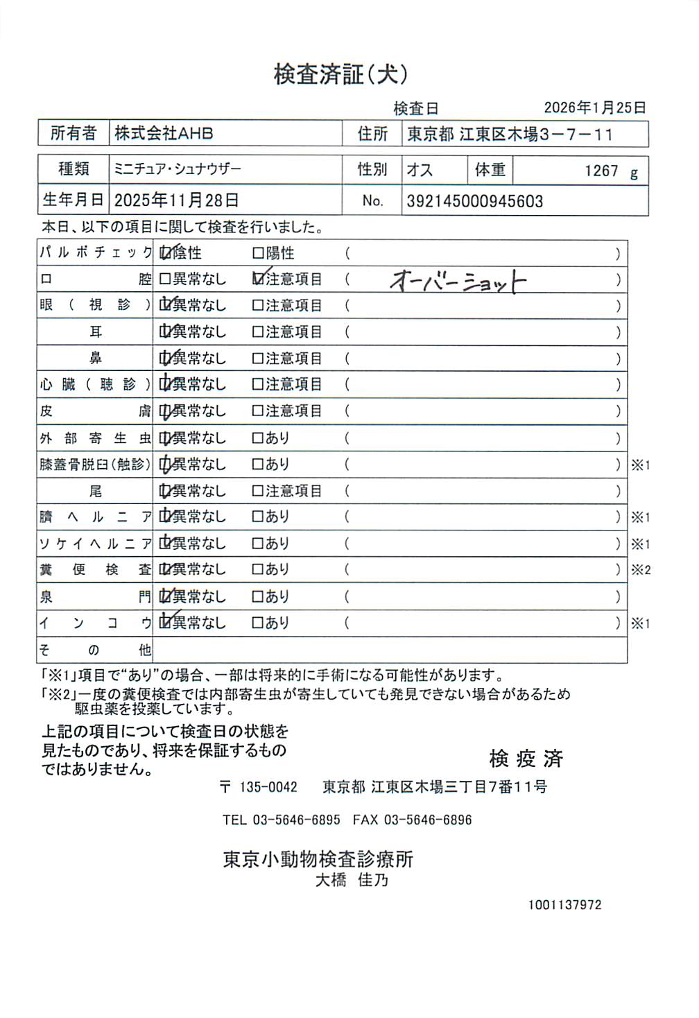 ミニチュア・シュナウザー