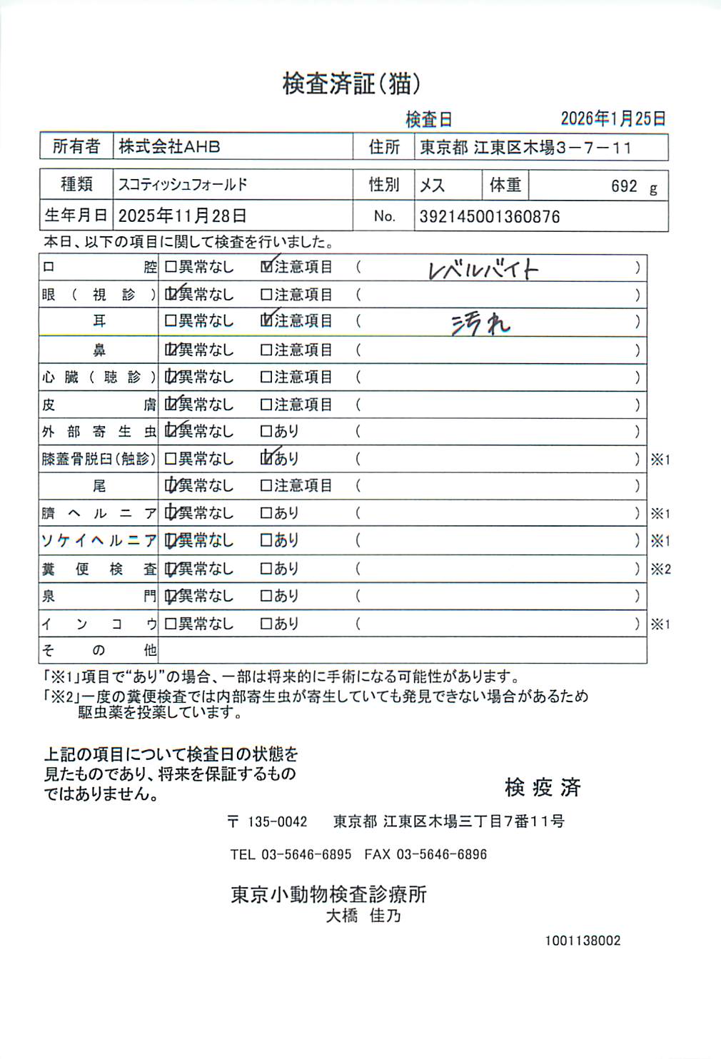 スコティッシュフォールド