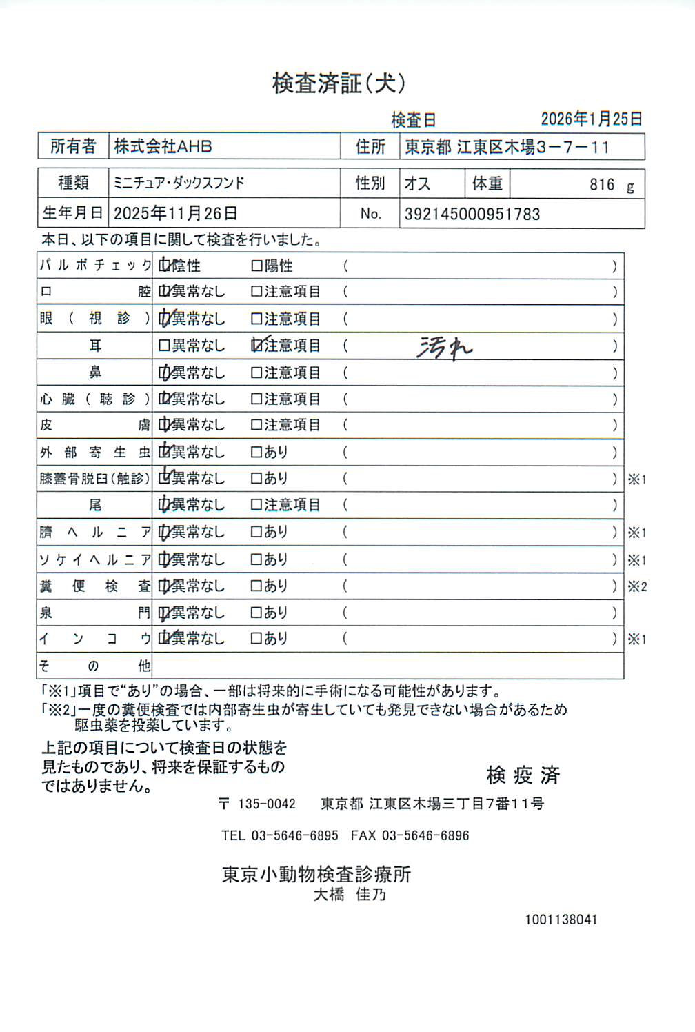 ミニチュア・ダックスフンド