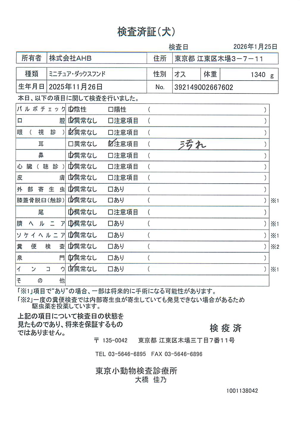 ミニチュア・ダックスフンド