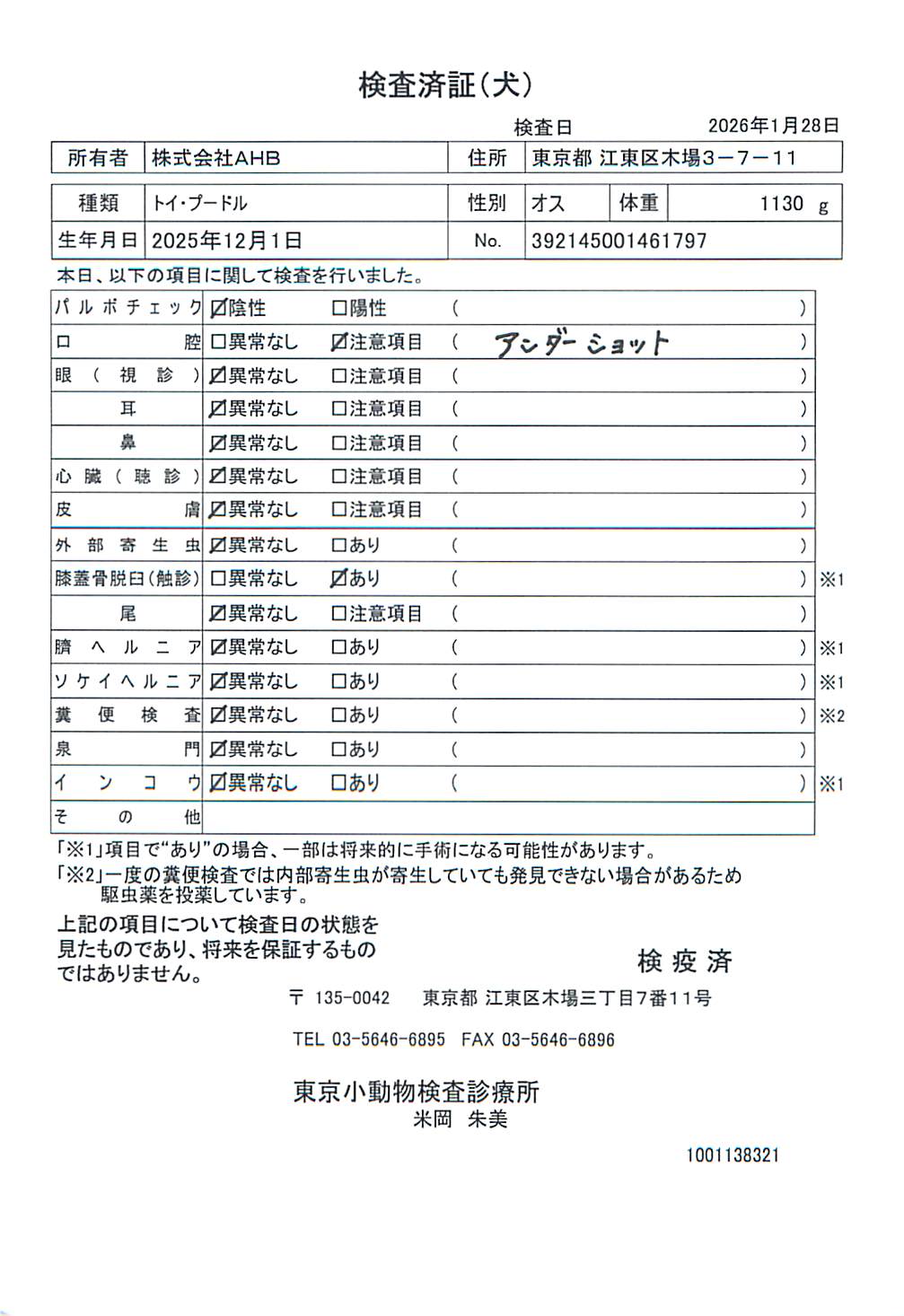 トイ・プードル