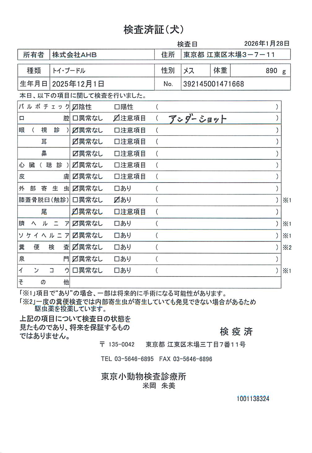 トイ・プードル