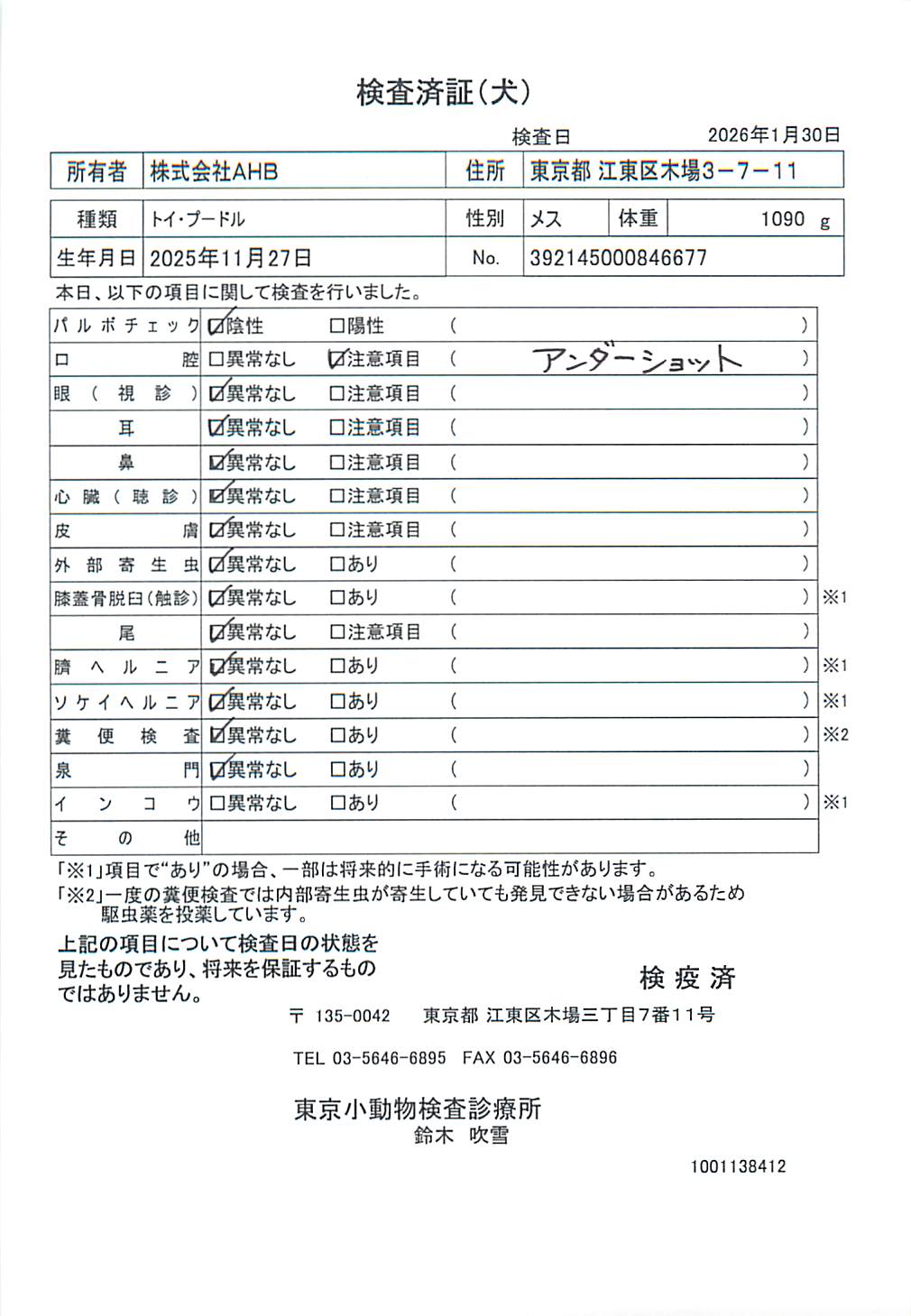 トイ・プードル