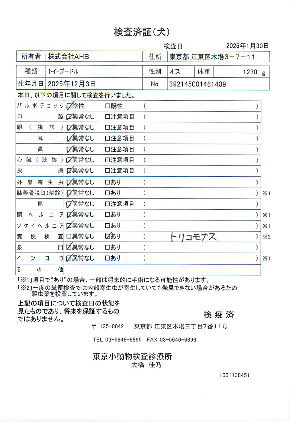トイ・プードル