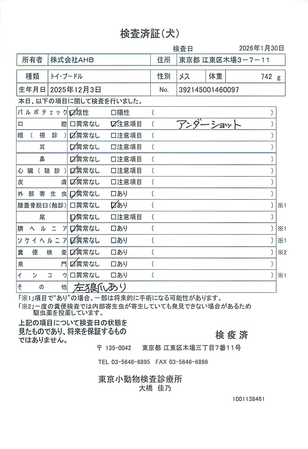 トイ・プードル