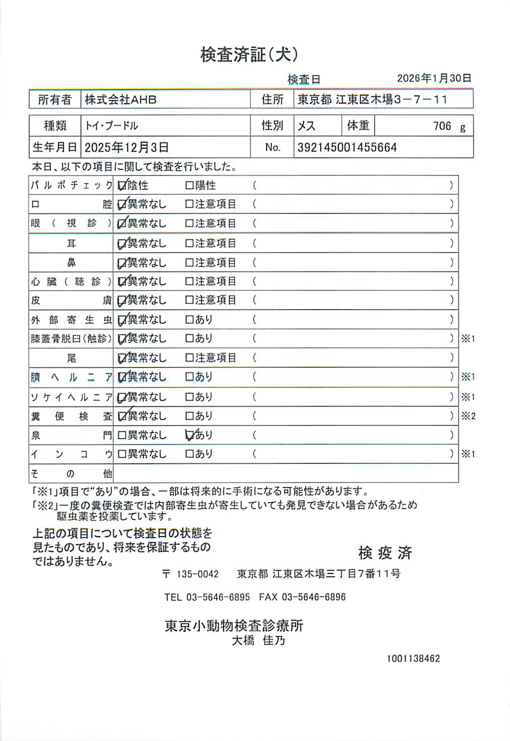 トイ・プードル