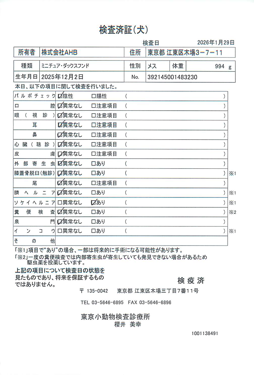 ミニチュア・ダックスフンド