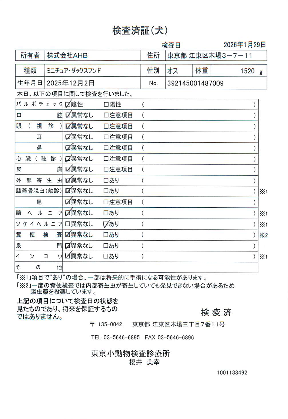 ミニチュア・ダックスフンド