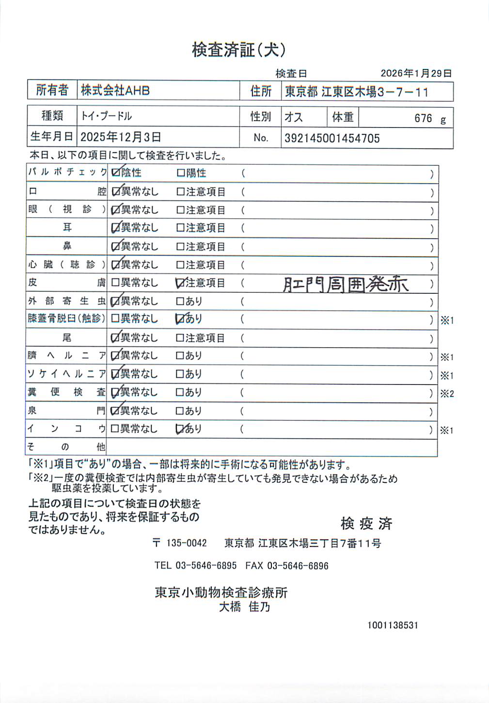 トイ・プードル