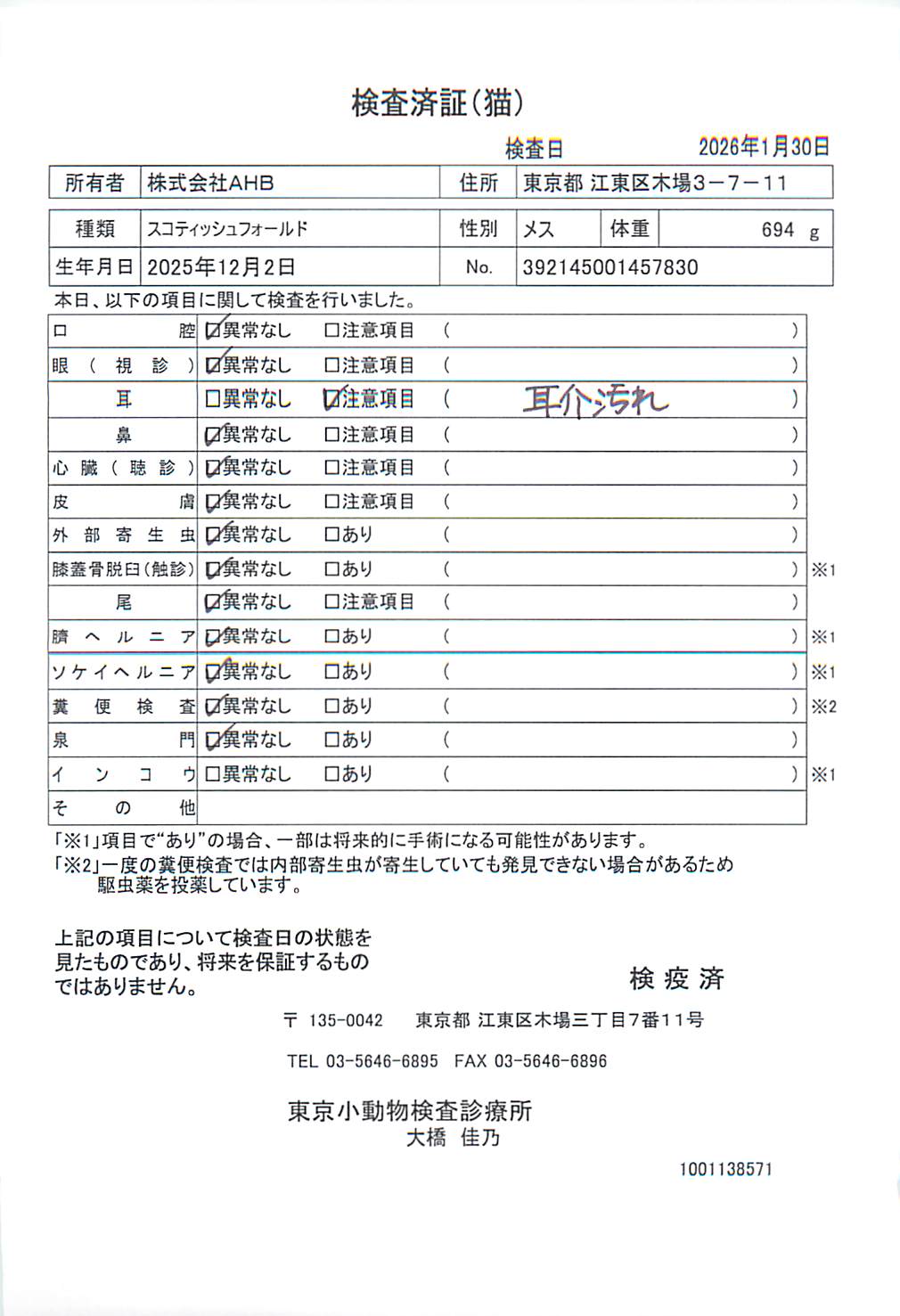 スコティッシュフォールド