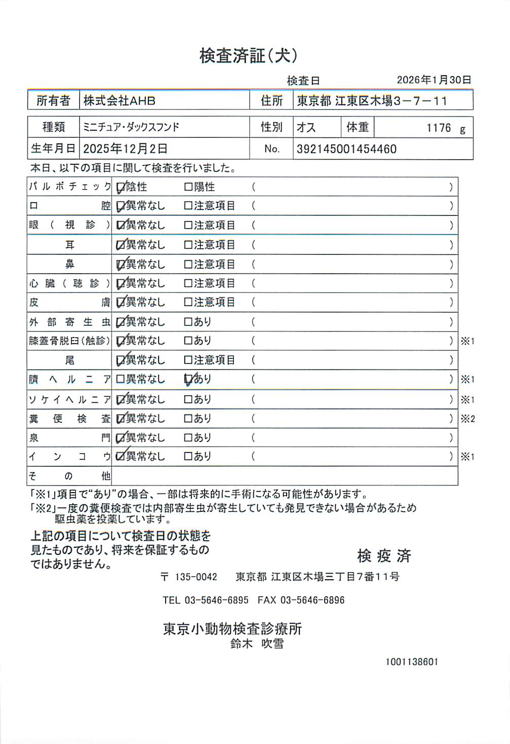 ミニチュア・ダックスフンド