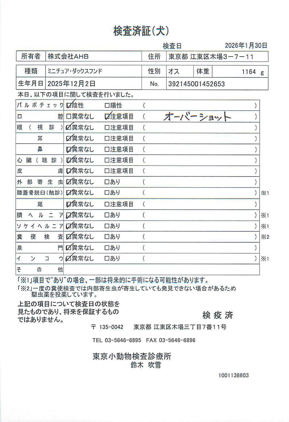ミニチュア・ダックスフンド