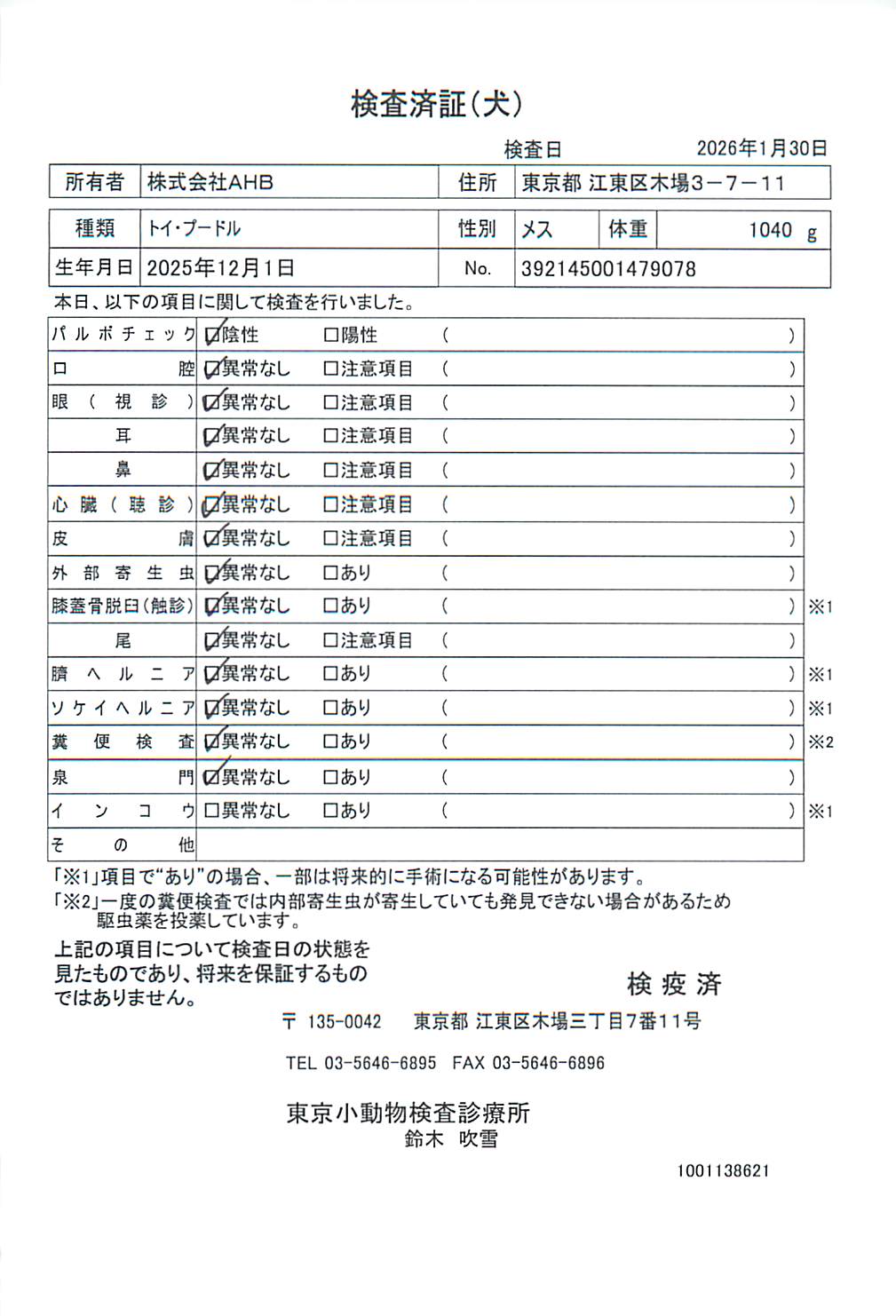 トイ・プードル