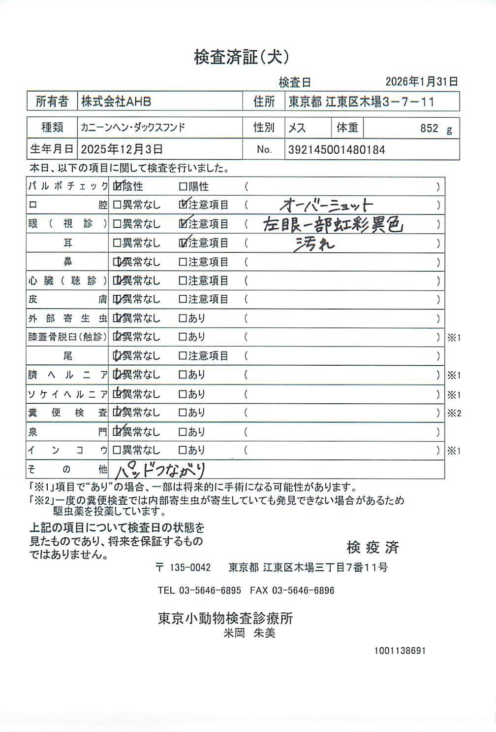 カニーンヘン・ダックスフンド