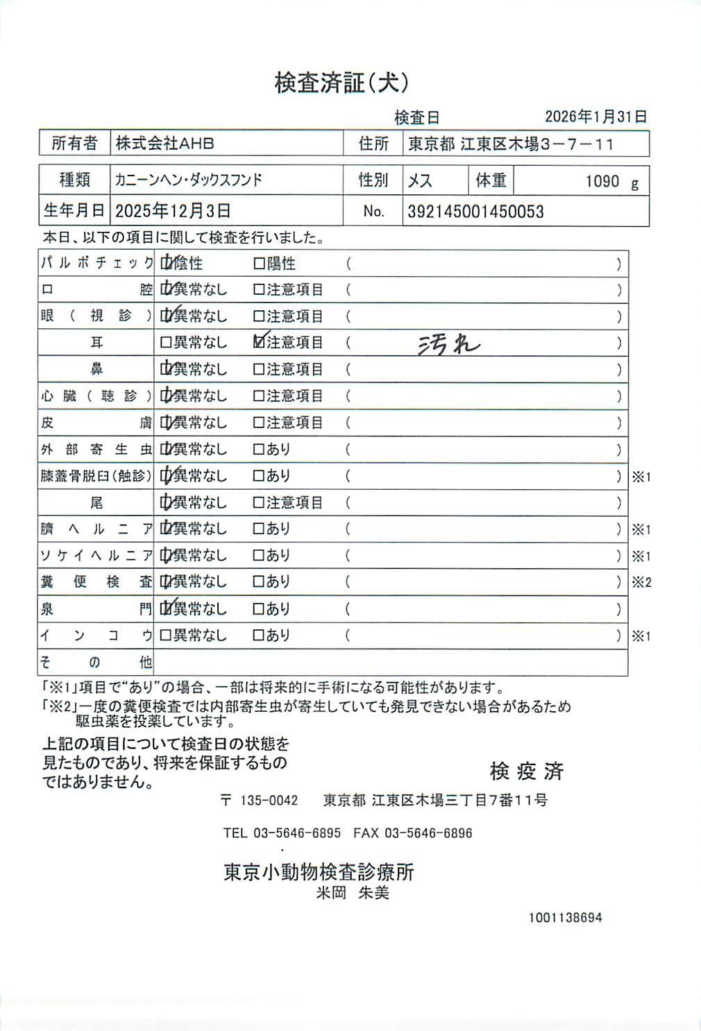 カニーンヘン・ダックスフンド
