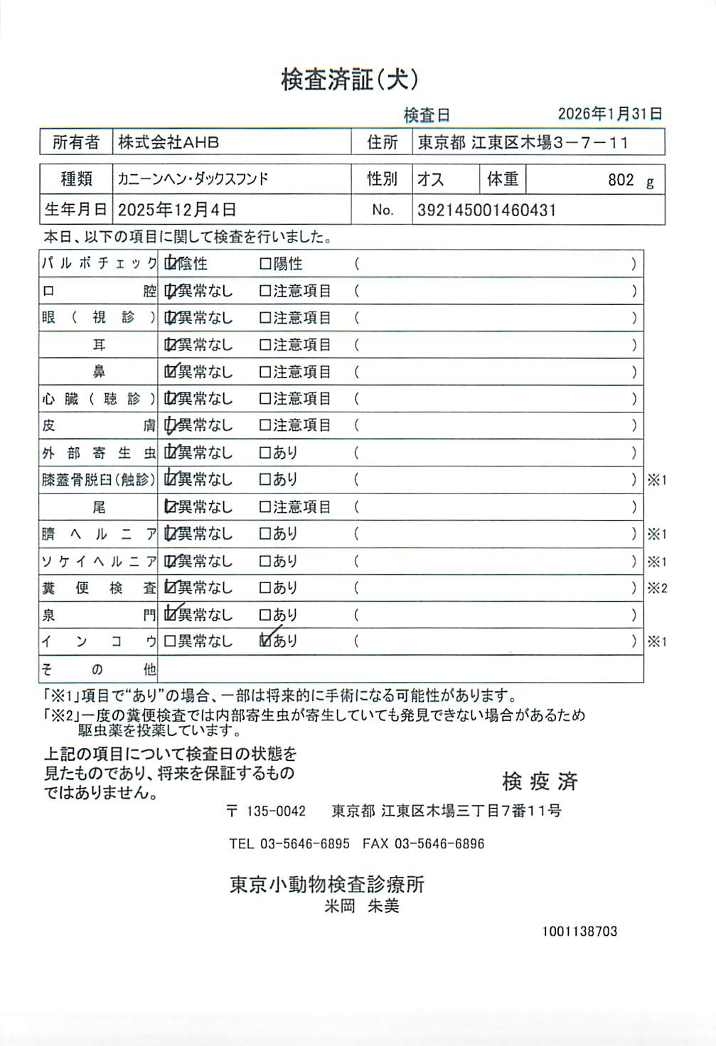 カニーンヘン・ダックスフンド