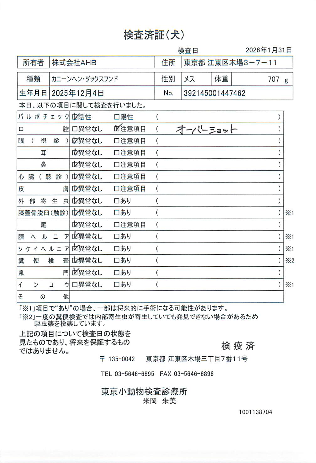 カニーンヘン・ダックスフンド