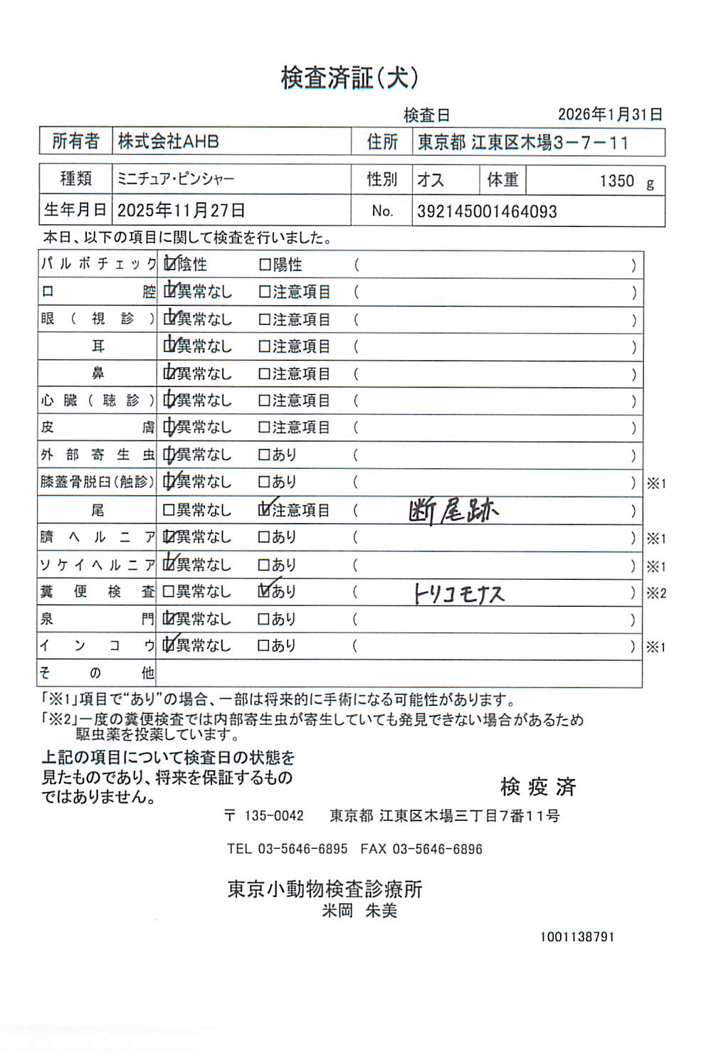 ミニチュア・ピンシャー