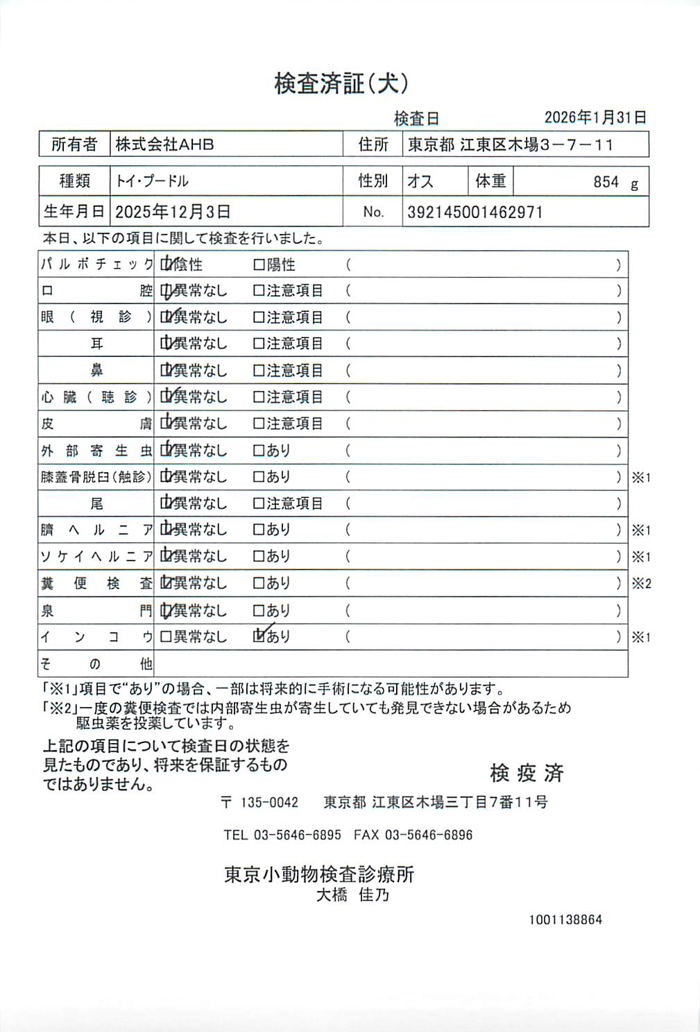 トイ・プードル