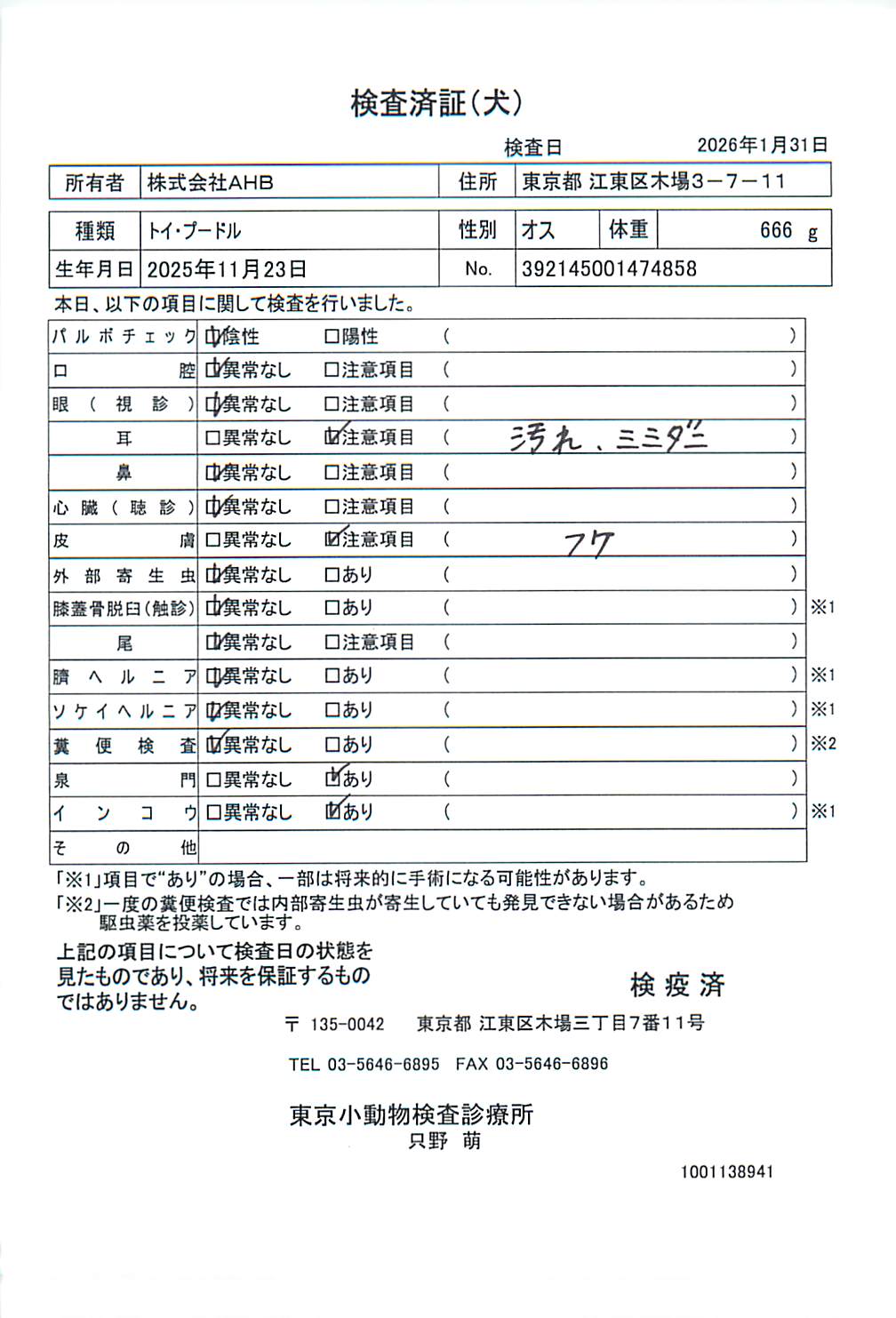 トイ・プードル