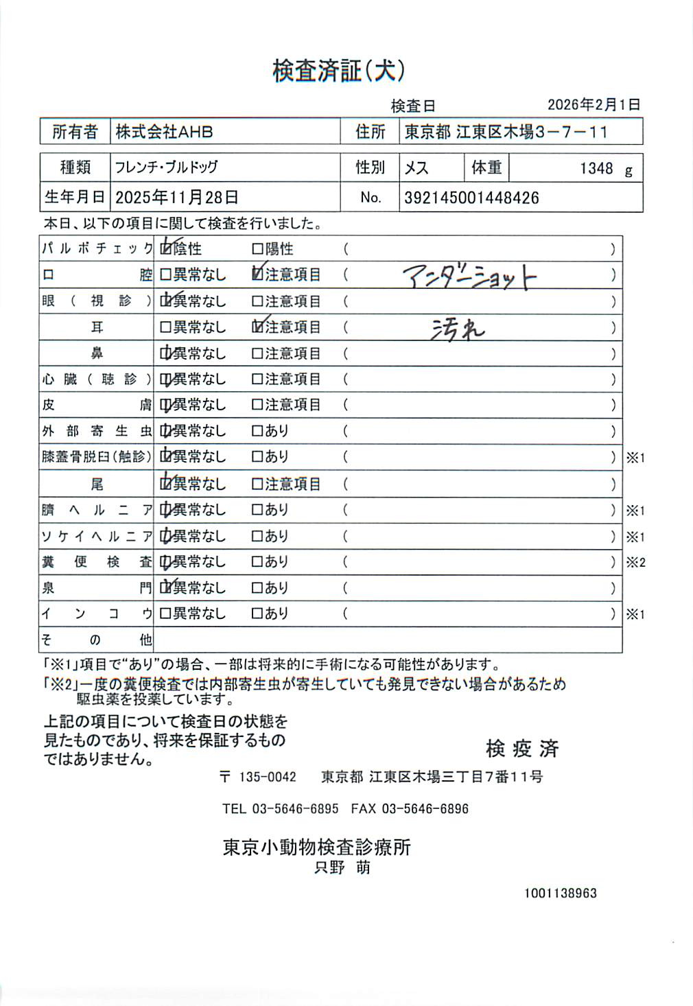 フレンチ・ブルドッグ