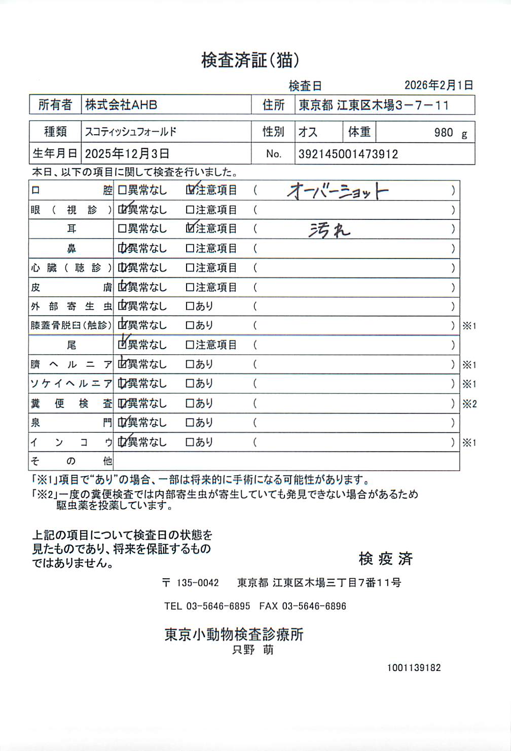 スコティッシュフォールド