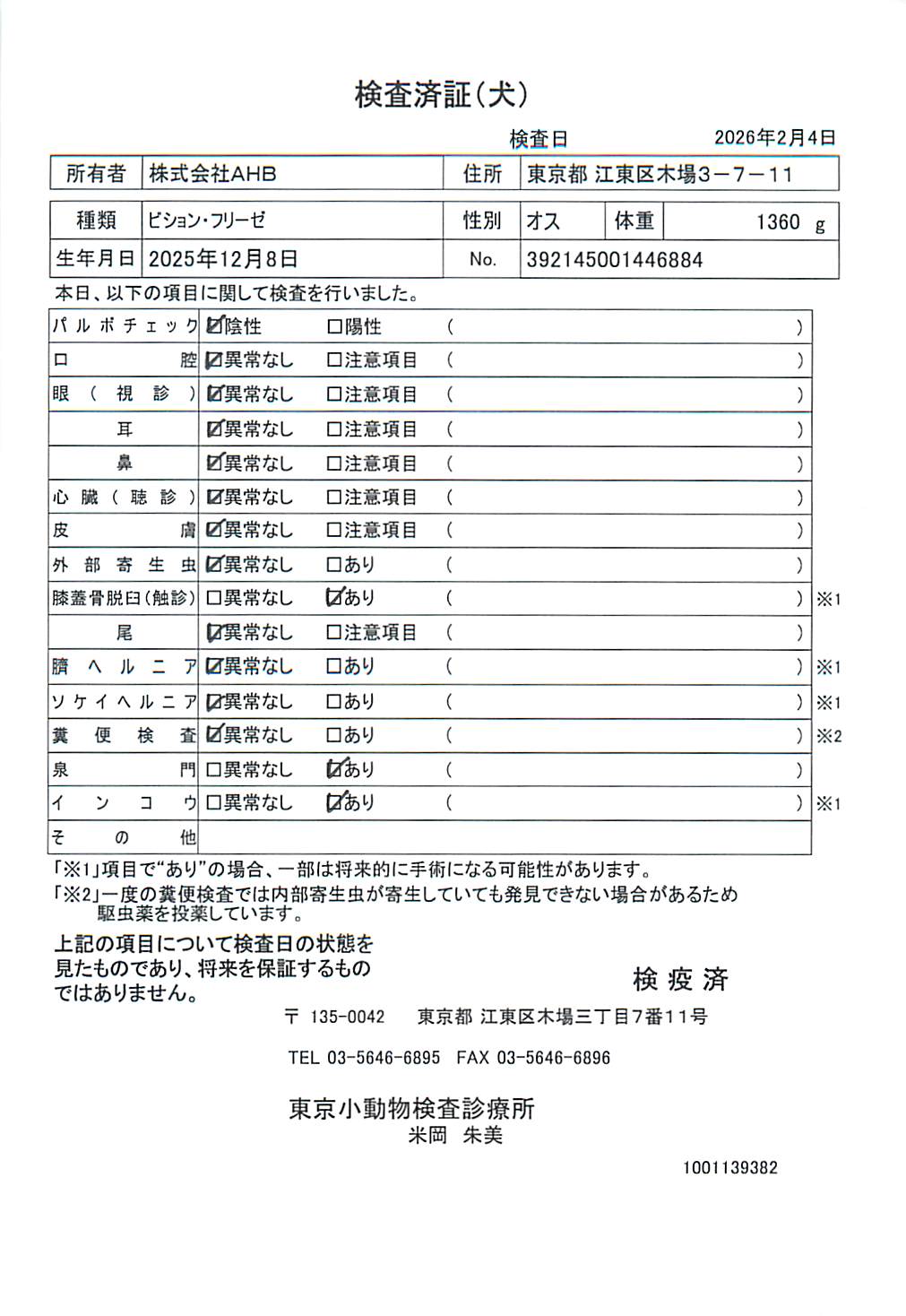 ビション・フリーゼ