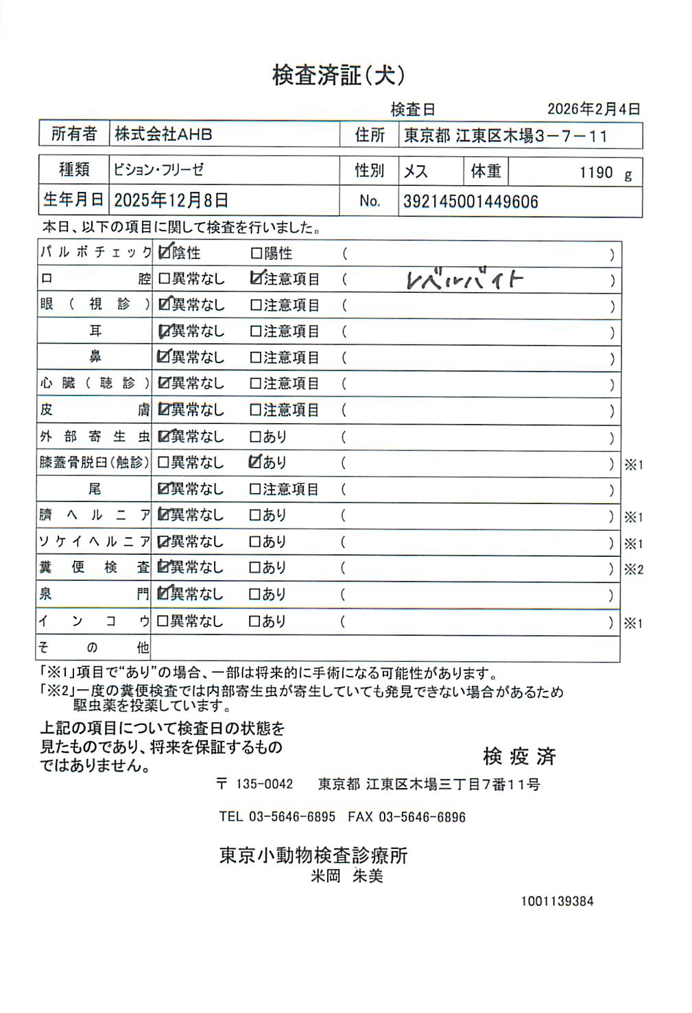 ビション・フリーゼ