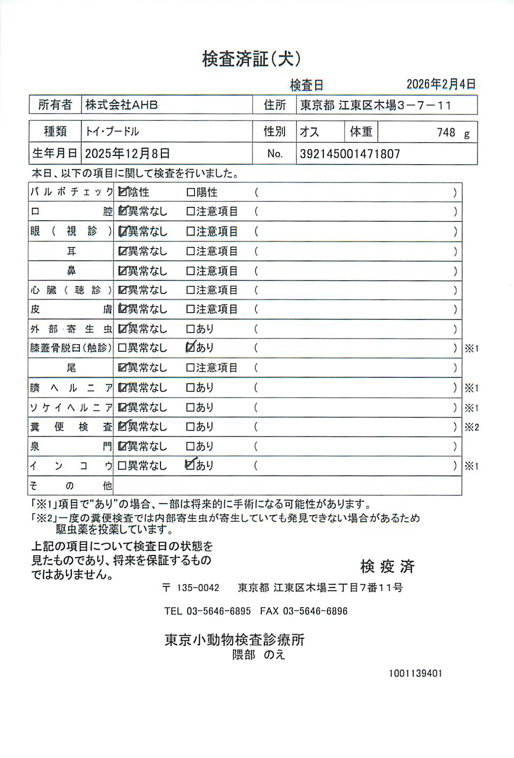 トイ・プードル