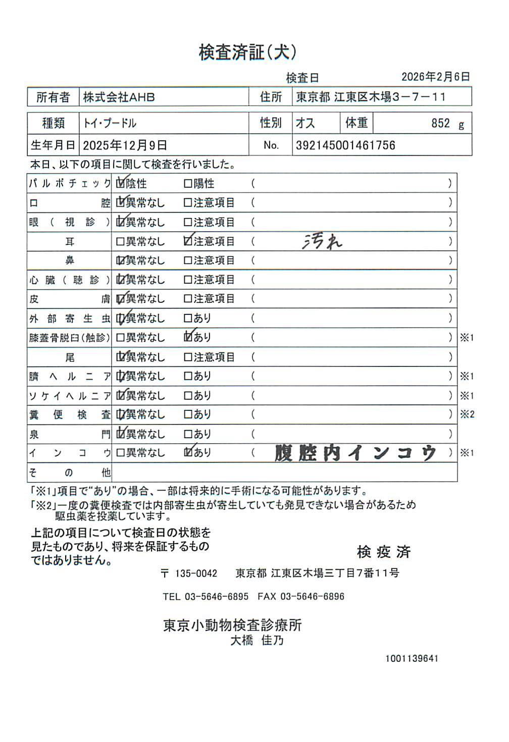 トイ・プードル