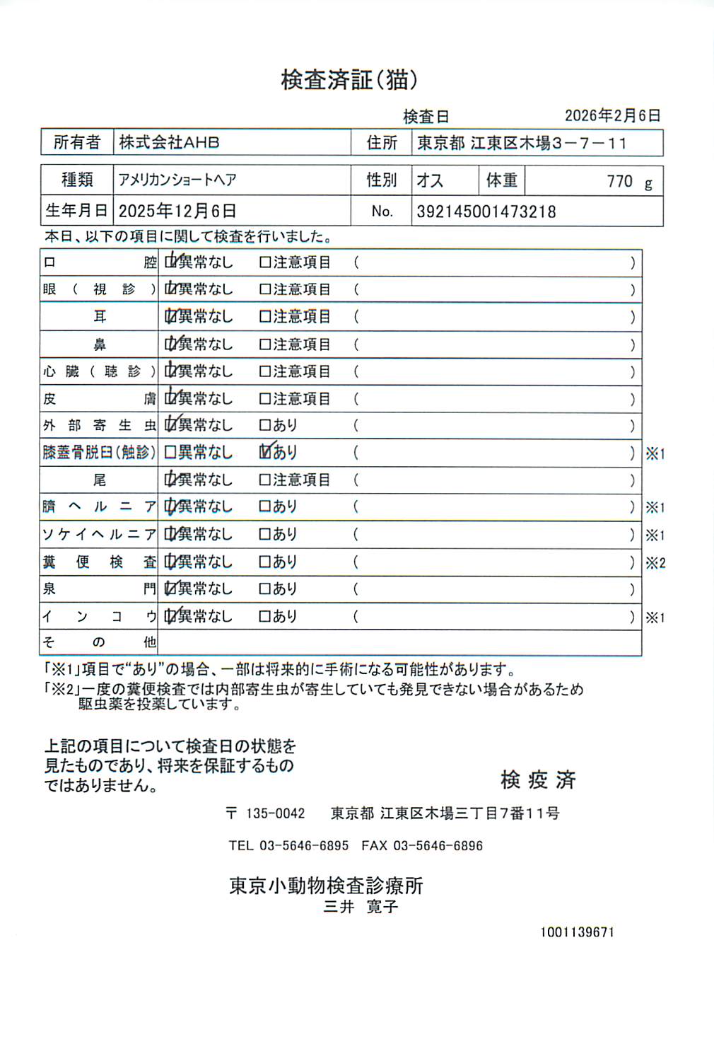 アメリカンショートヘア