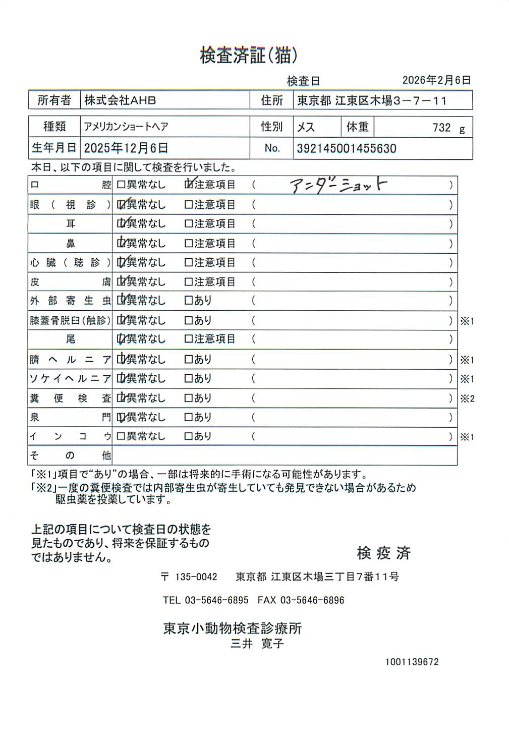 アメリカンショートヘア