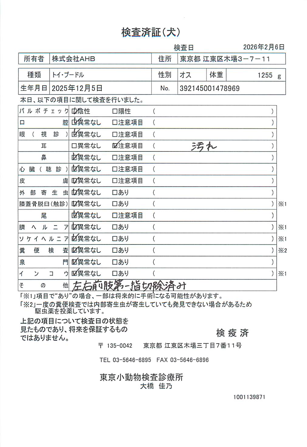 トイ・プードル