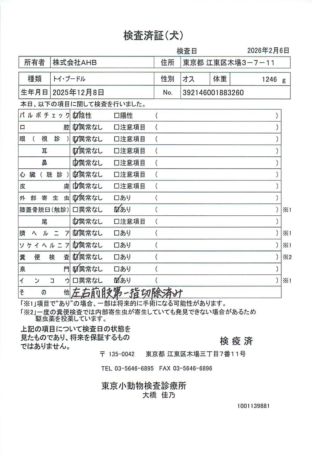 トイ・プードル