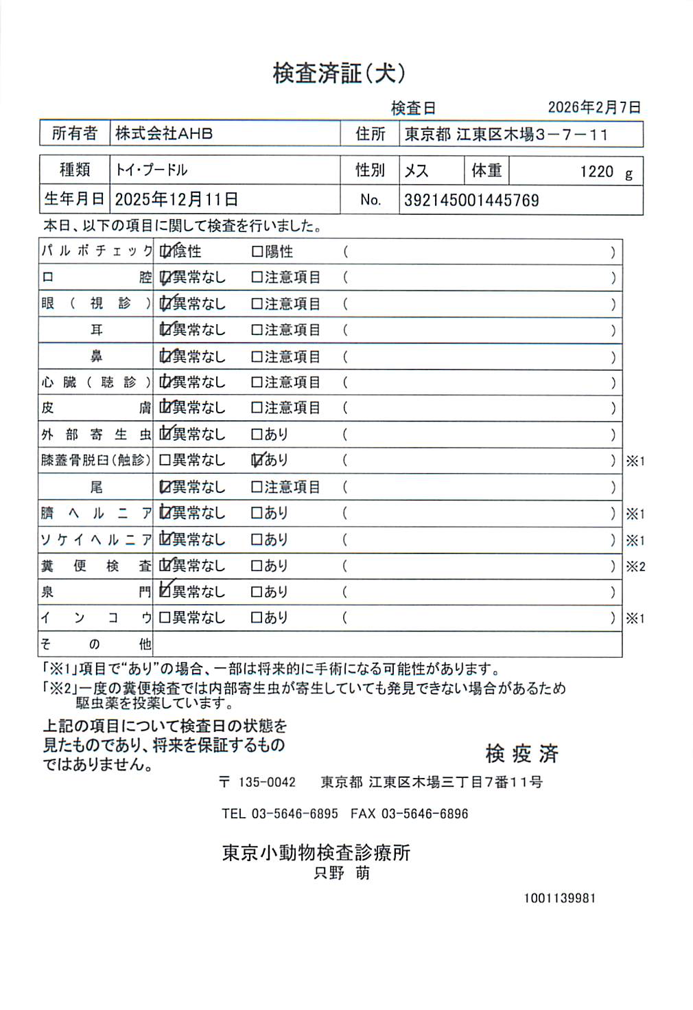 トイ・プードル