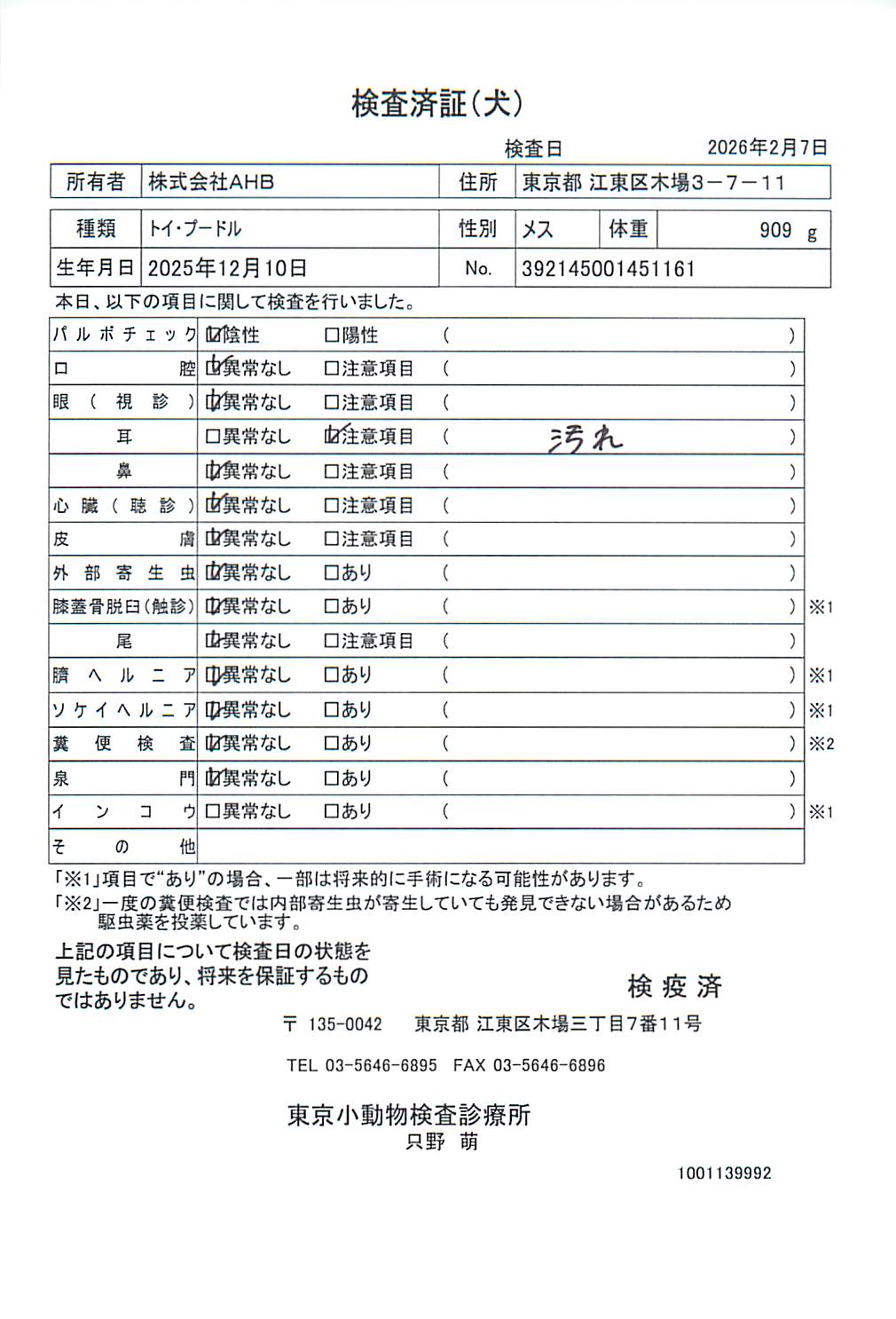 トイ・プードル