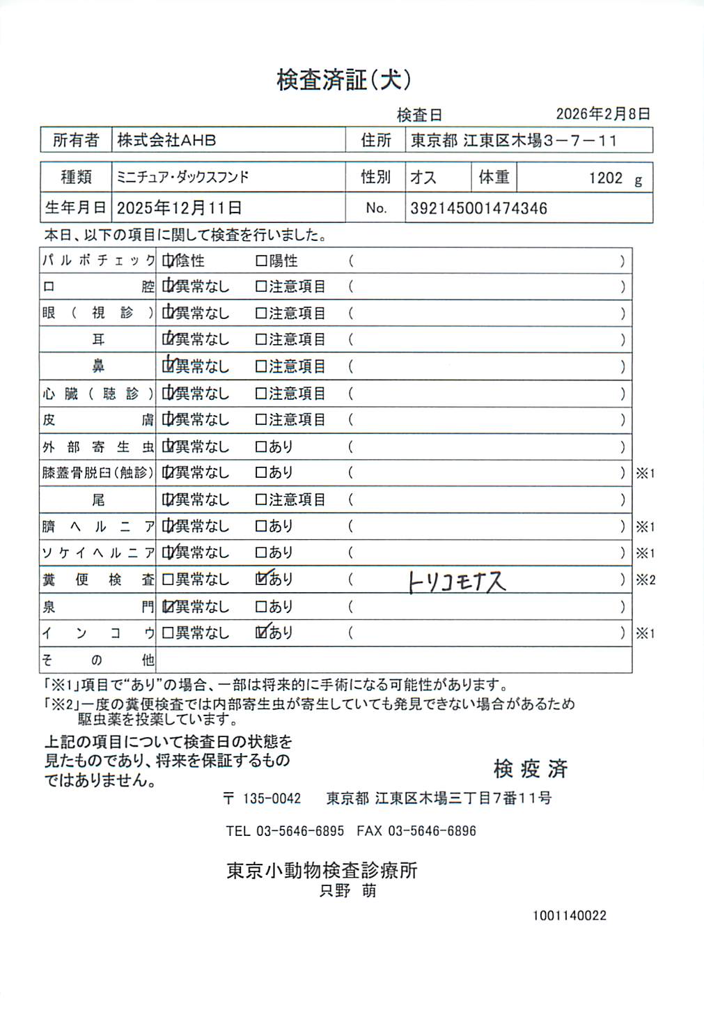 ミニチュア・ダックスフンド