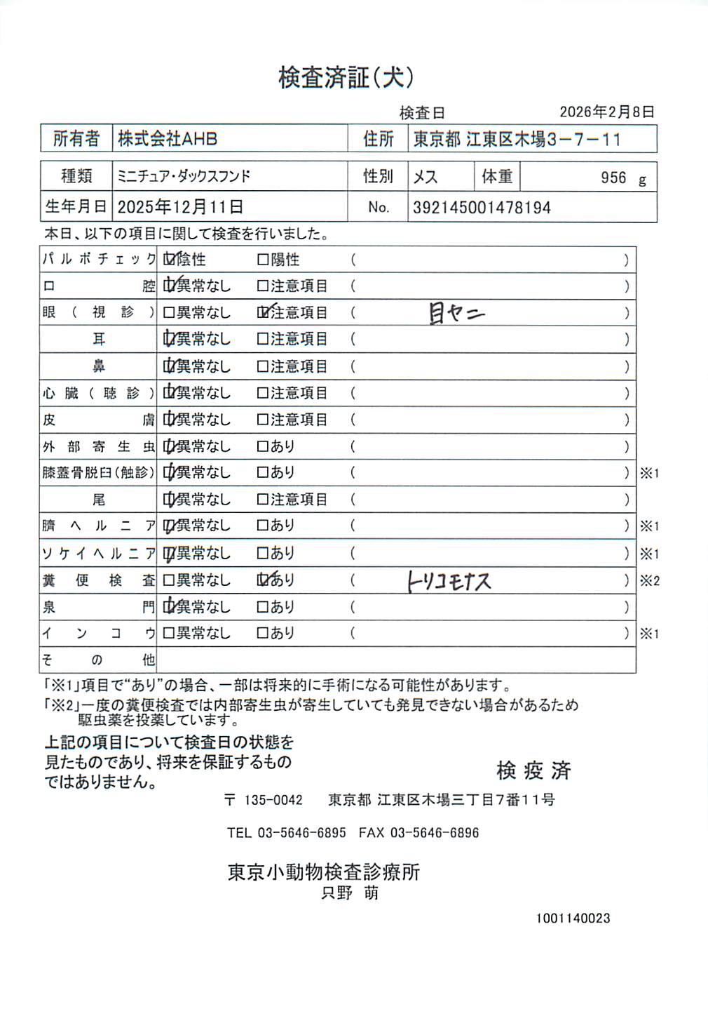 ミニチュア・ダックスフンド