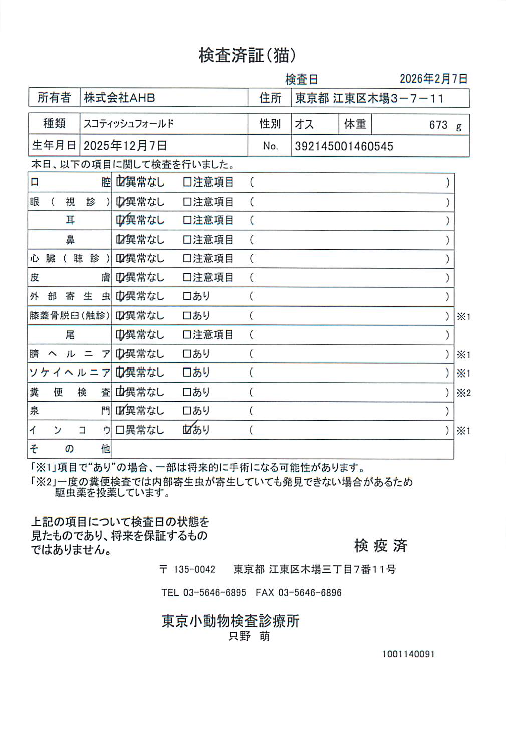 スコティッシュフォールド
