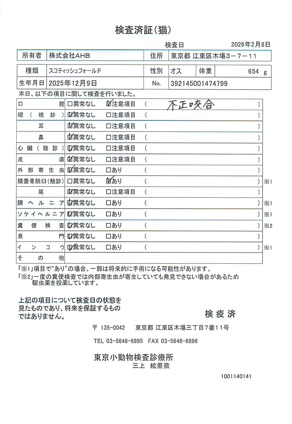 スコティッシュフォールド