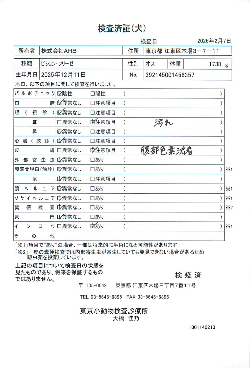 ビション・フリーゼ