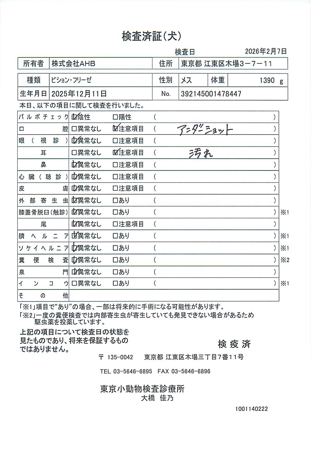 ビション・フリーゼ