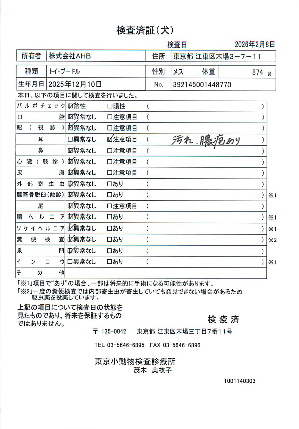 トイ・プードル