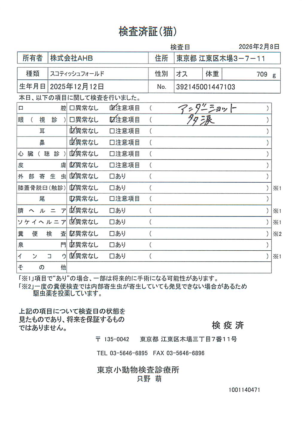 スコティッシュフォールド