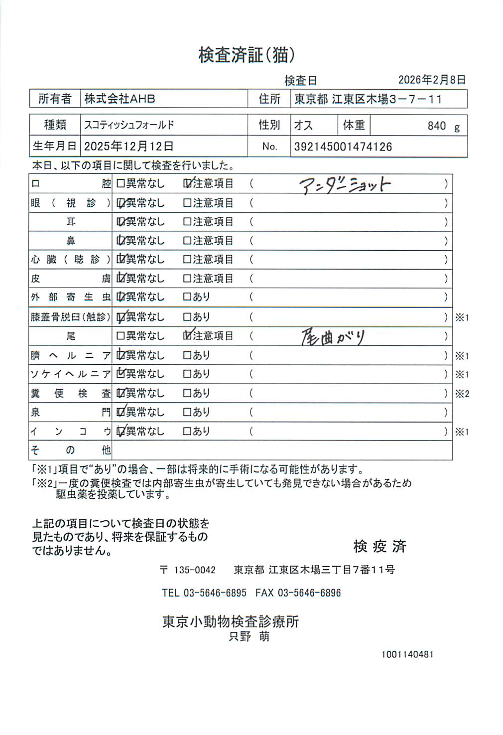 スコティッシュフォールド