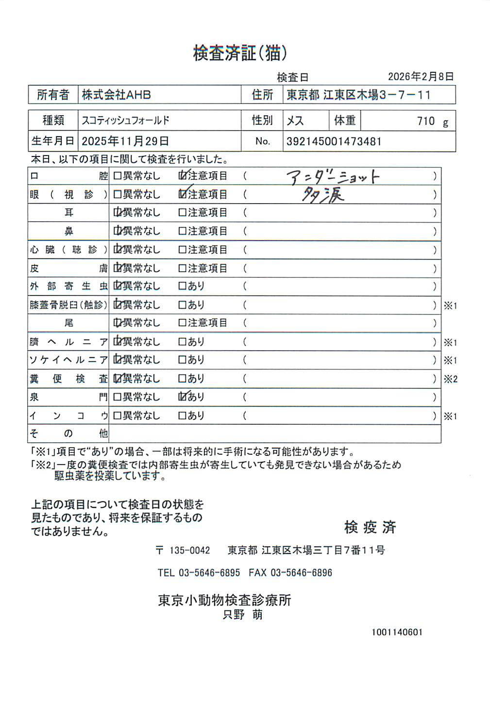 スコティッシュフォールド