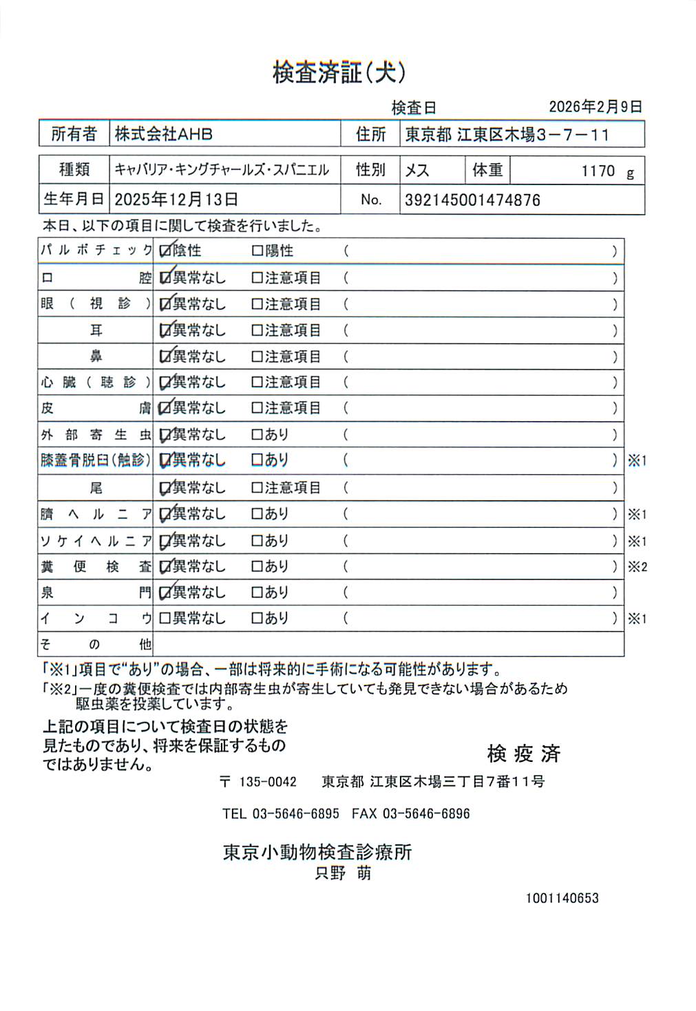 キャバリア・キングチャールズ・スパニエル