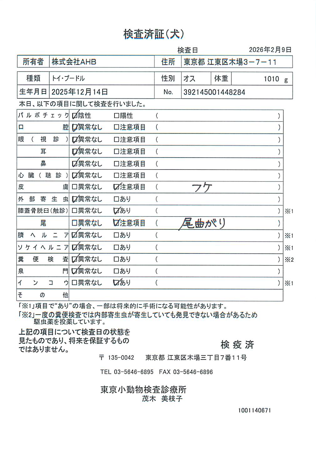 トイ・プードル